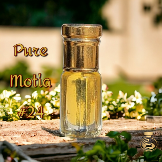 Pure Motia #24